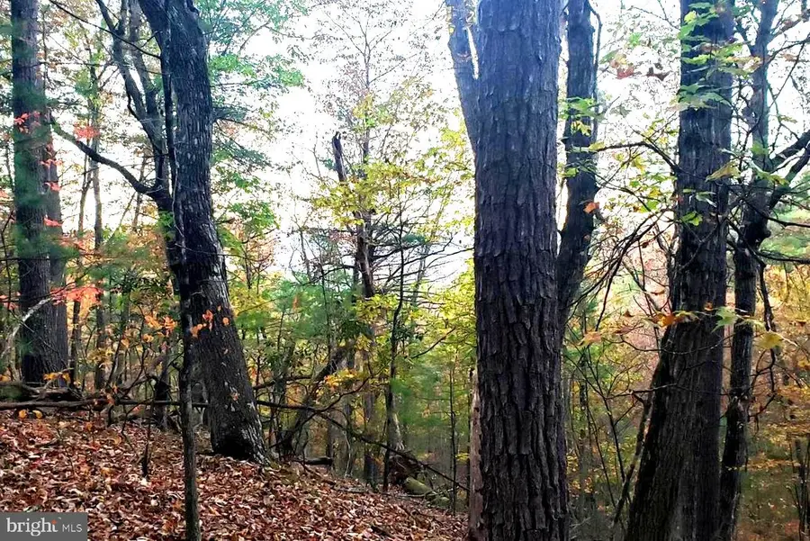 0 Fairway Dr #lot 31, Basye, VA 22810 - Image #3