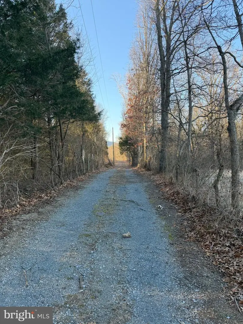 442 Pouts Hill Rd, Strasburg, VA 22657 - Image #2