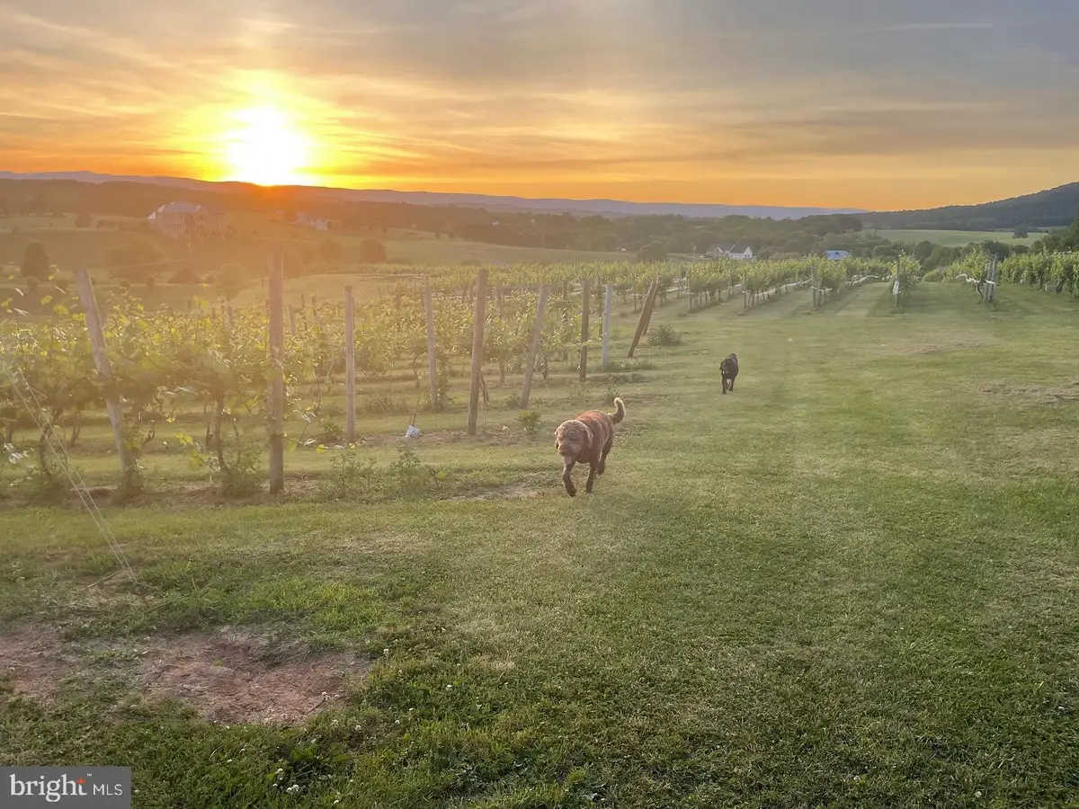 2110 Quicksburg Rd, Quicksburg, VA 22847 - #1