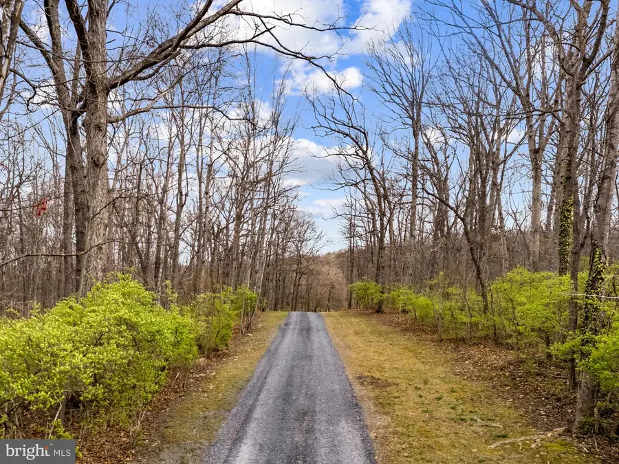 1029 Fleming Park Rd, Mount Jackson, VA 22842 - #2