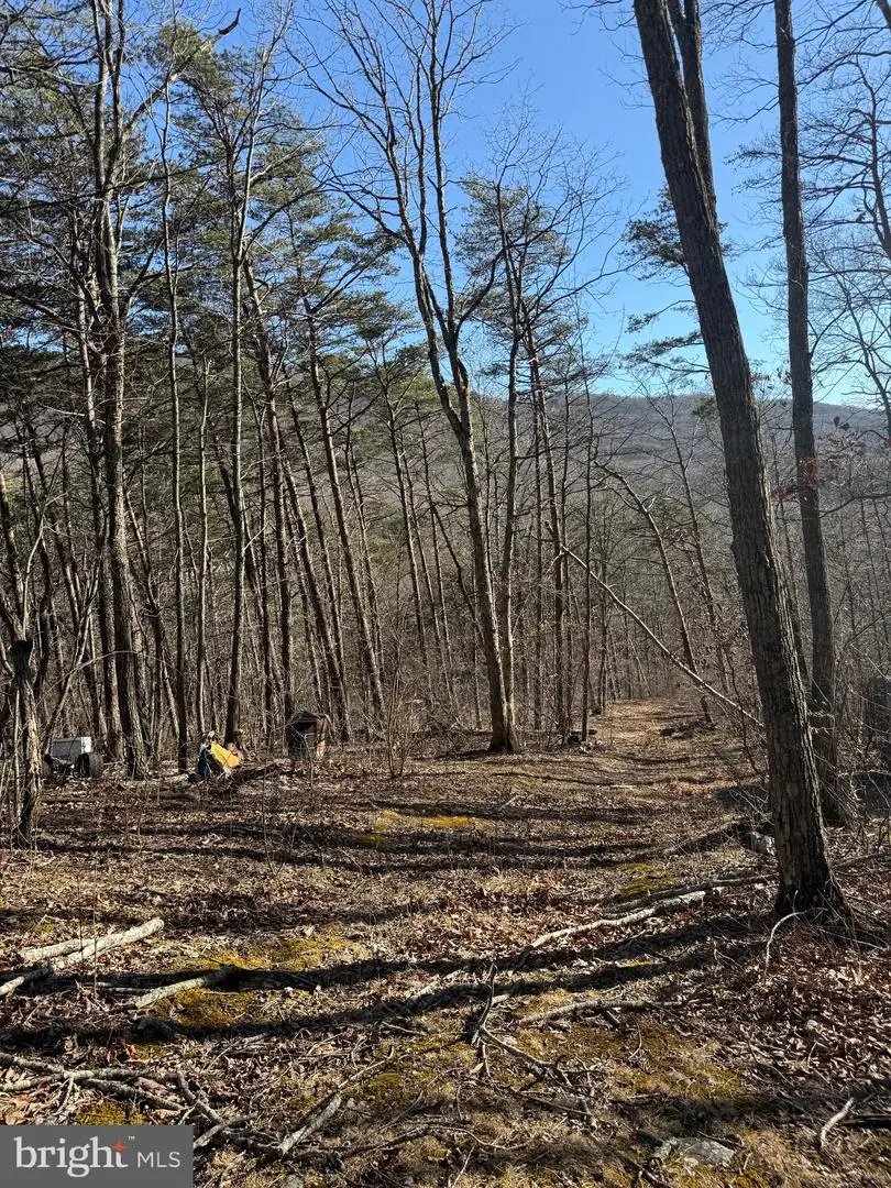 Lot 55 Moreland Gap, New Market, VA 22844 - #1
