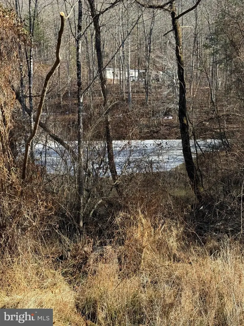 Lot 55 Moreland Gap, New Market, VA 22844 - #3