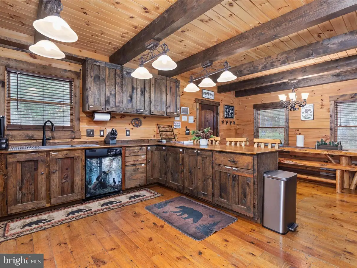 193 Ash Ln, Mount Jackson, VA 22842 - #1