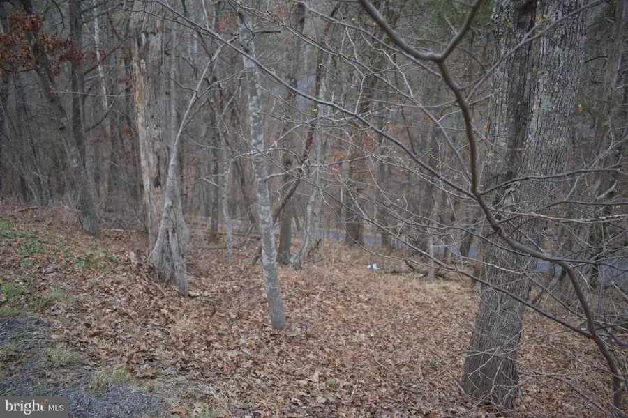 Anderson Rd, Basye, VA 22810 - #2