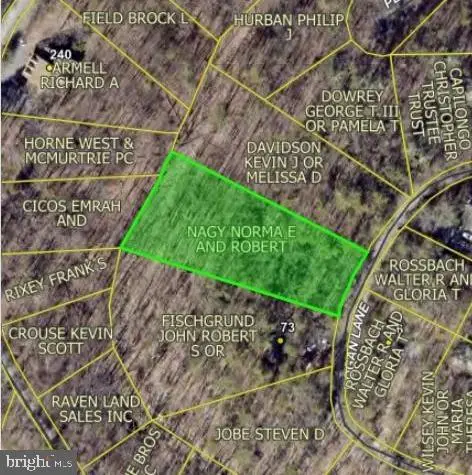 Bogan, MOUNT JACKSON, VA 22842