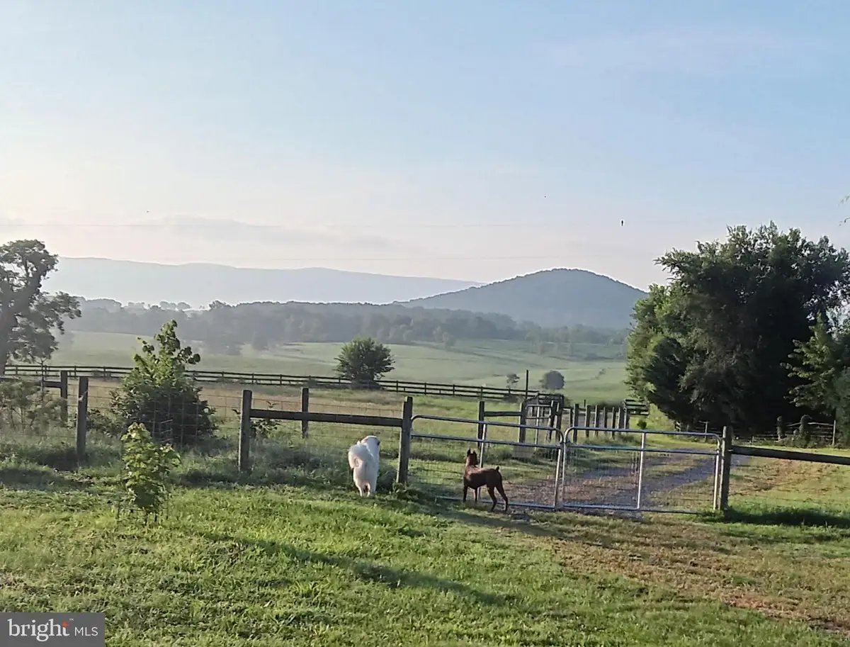 867 Kibler Rd, Quicksburg, VA 22847 - #1