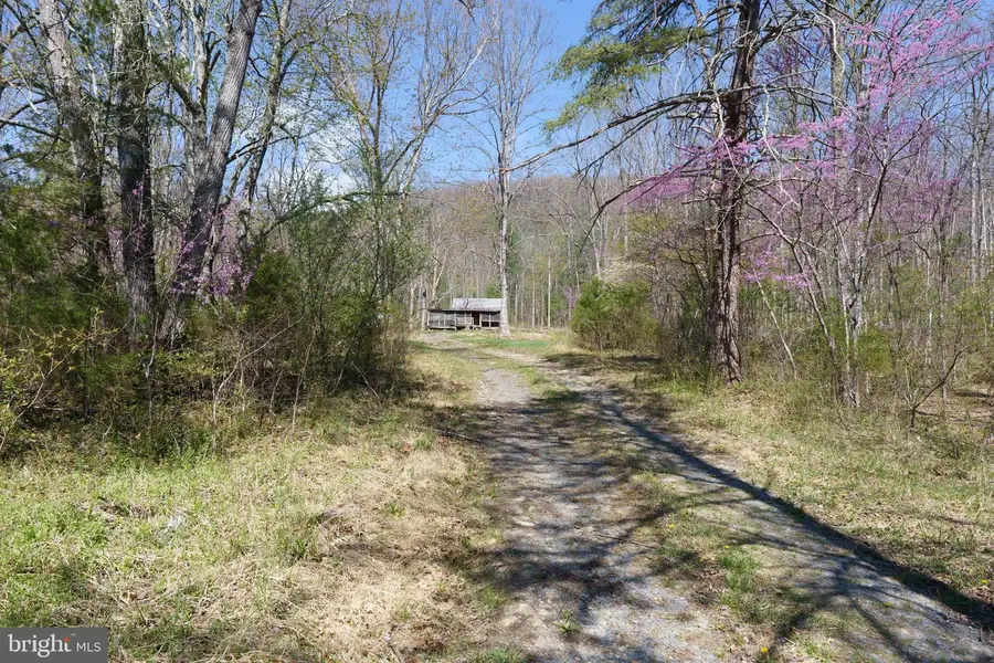 3336 Wolf Gap Rd, Edinburg, VA 22824 - #3