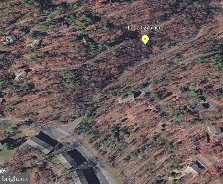 Lot 161 Lee, Basye, VA 22810 - #2