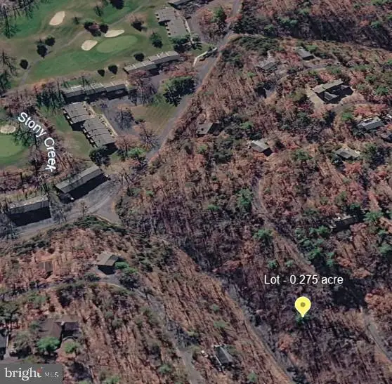 Lot 161 Lee, Basye, VA 22810 - #3