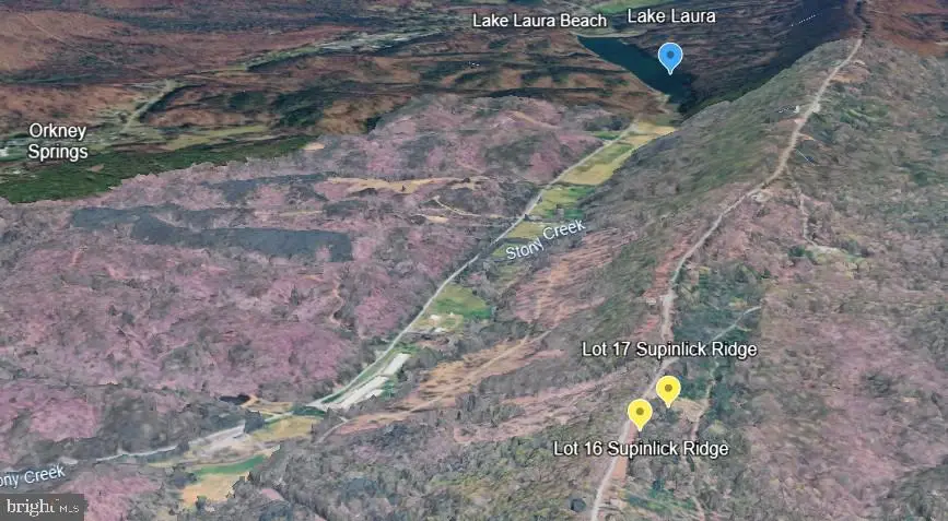 Lots 16 & 17 S Supinlick Ridge Road, Mount Jackson, VA 22842 - #3