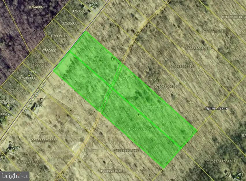 Lots 3018 & 4019 Supinlick Ridge Rd, Mount Jackson, VA 22842 - #1