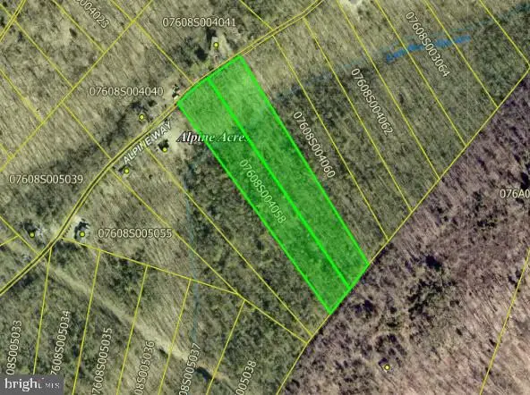 Lots 58 & 59 Alpine Way, Mount Jackson, VA 22842 - #1