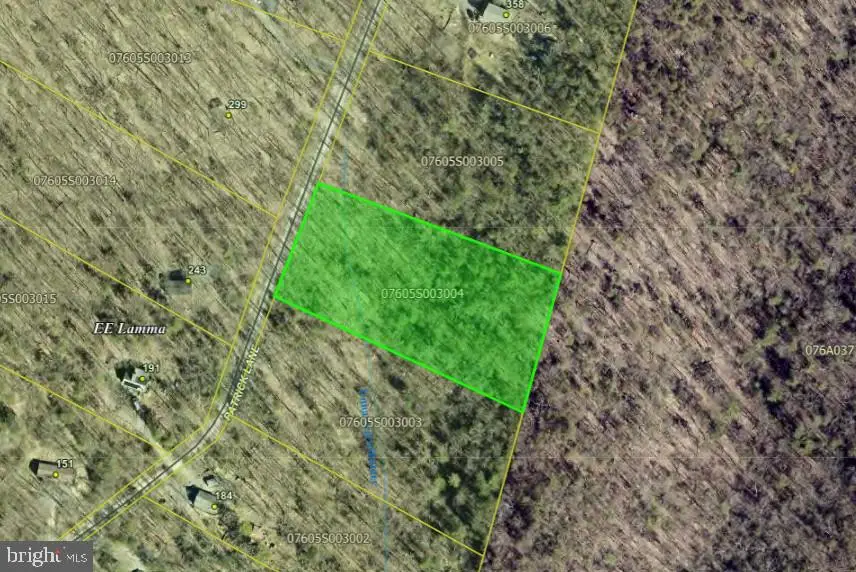 Lot 4 Patrick Lane, Mount Jackson, VA 22842 - #1
