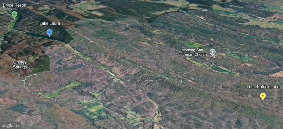 Lot 4 Patrick Lane, Mount Jackson, VA 22842 - #2