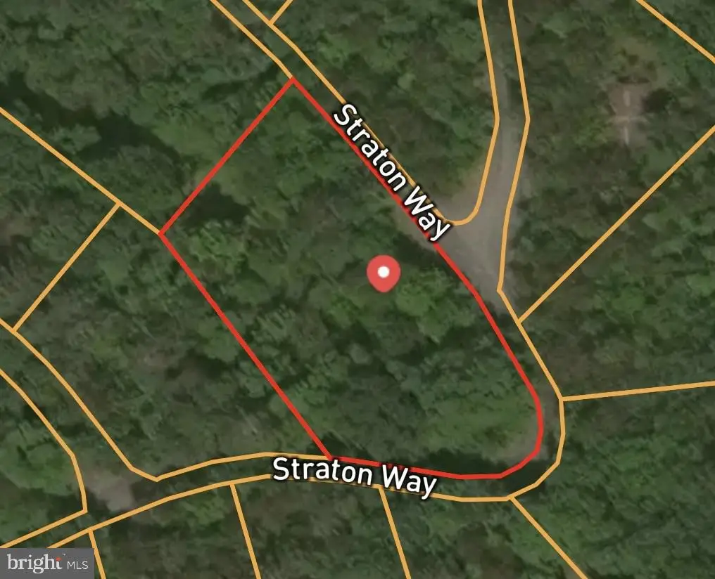 Straton Way, Basye, VA 22844 - #1