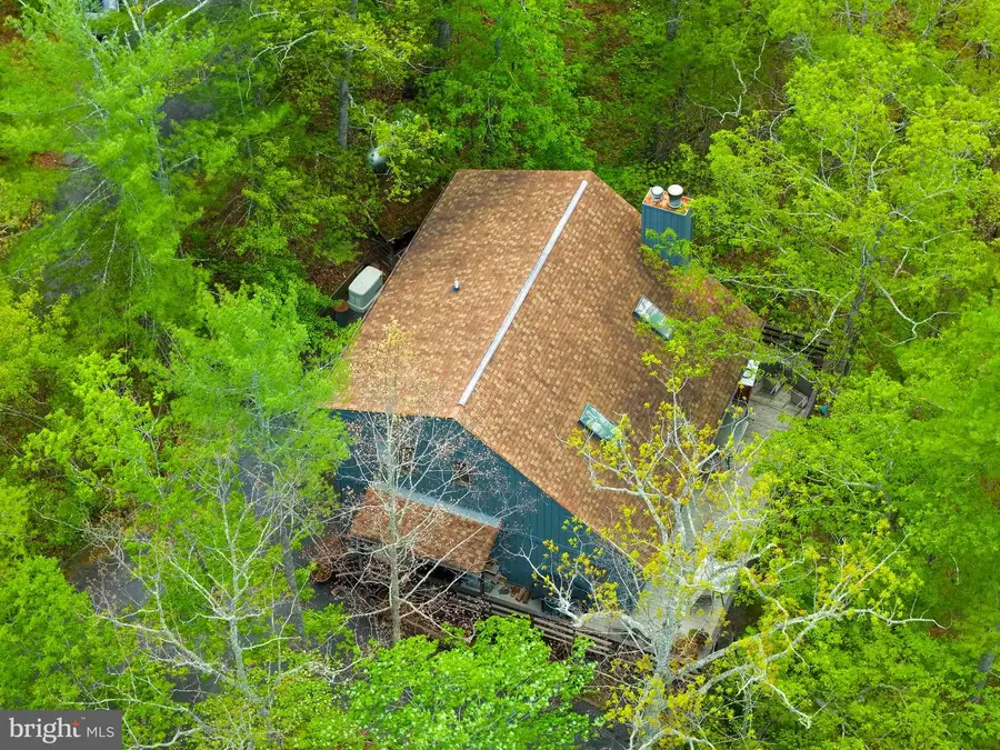 159 Richmon Rd, Basye, VA 22810 - #3