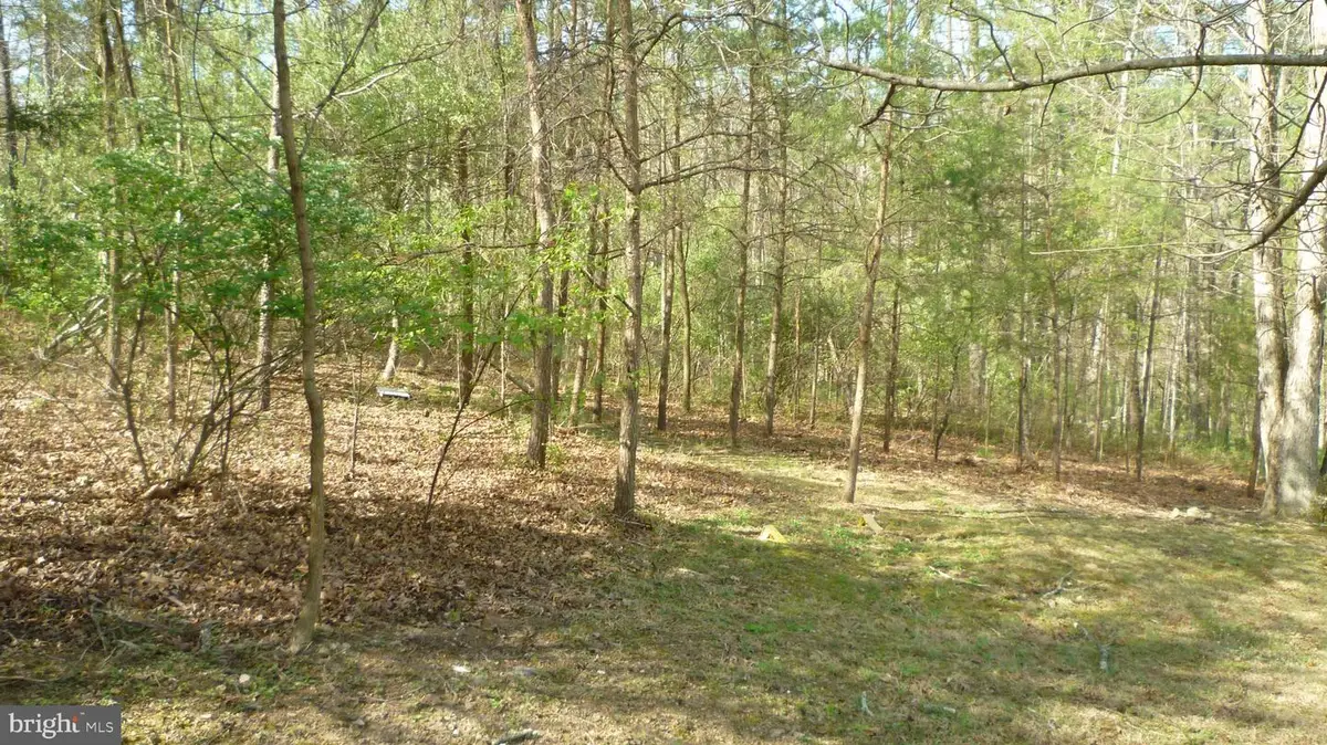 Lot 187 Sandpiper Dr., Basye, VA 22810 - #1