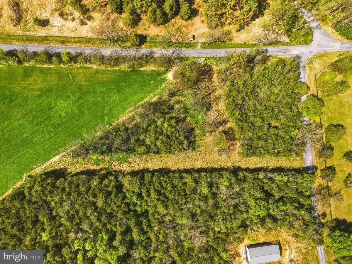 Polk Rd, Edinburg, VA 22824 - #1