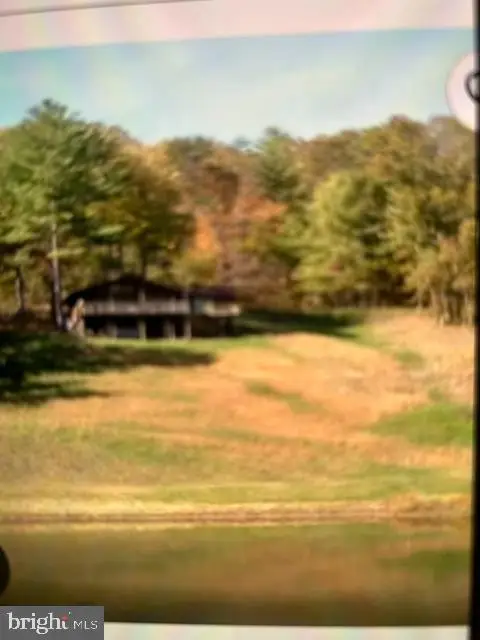 431 Holly Ridge Rd, Mount Jackson, VA 22842 - #1