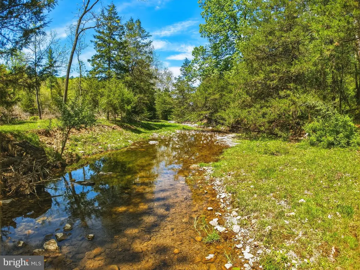 0 Hepner, Mount Jackson, VA 22842 - #1