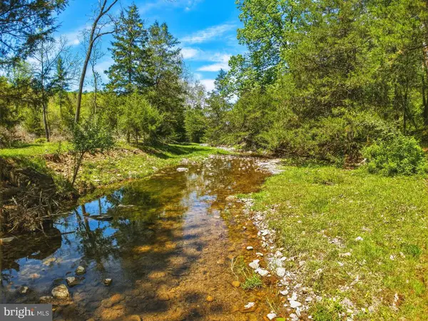0 Hepner, MOUNT JACKSON, VA 22842