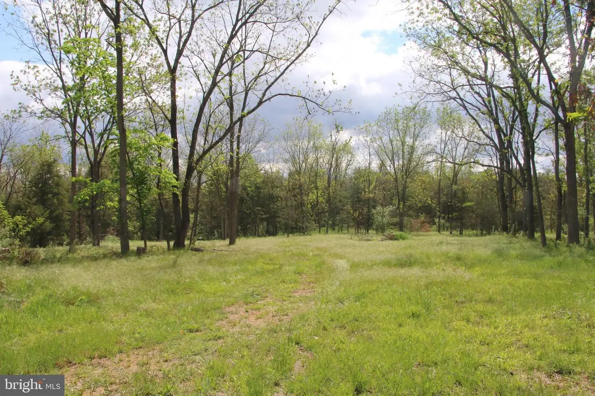 Ridge Hollow Rd, Edinburg, VA 22824 - #1