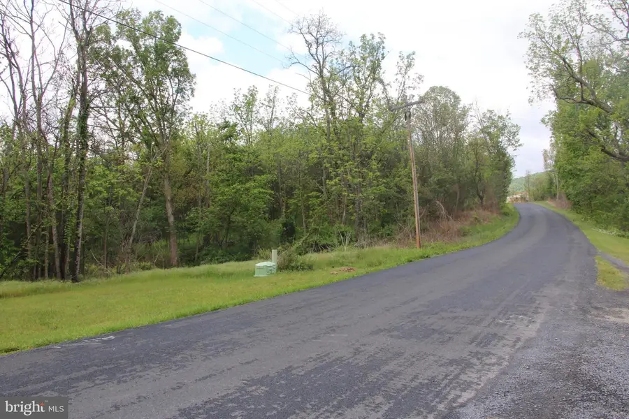 Ridge Hollow Rd, Edinburg, VA 22824 - #3