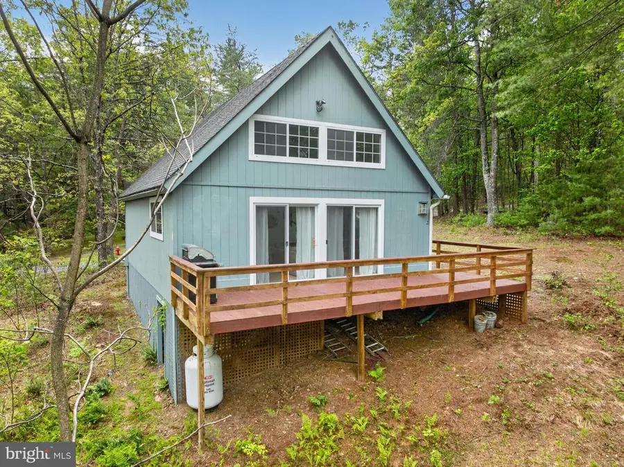 393 Palmer, Basye, VA 22810 - #3