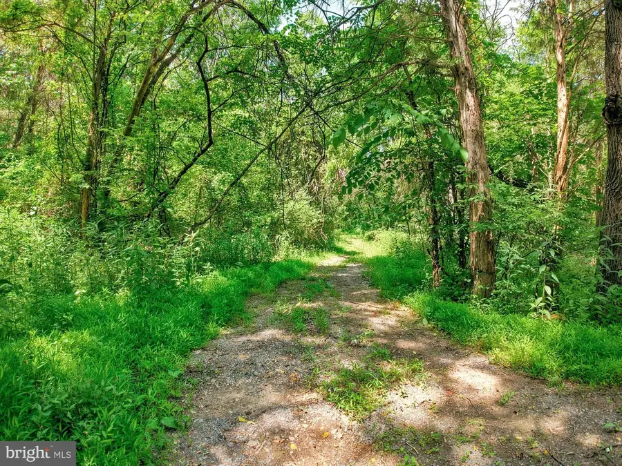 Moutain Slope Lane Ln, Fort Valley, VA 22652 - #2