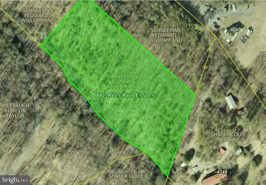 Crooked Run, Mount Jackson, VA 22842 - #1