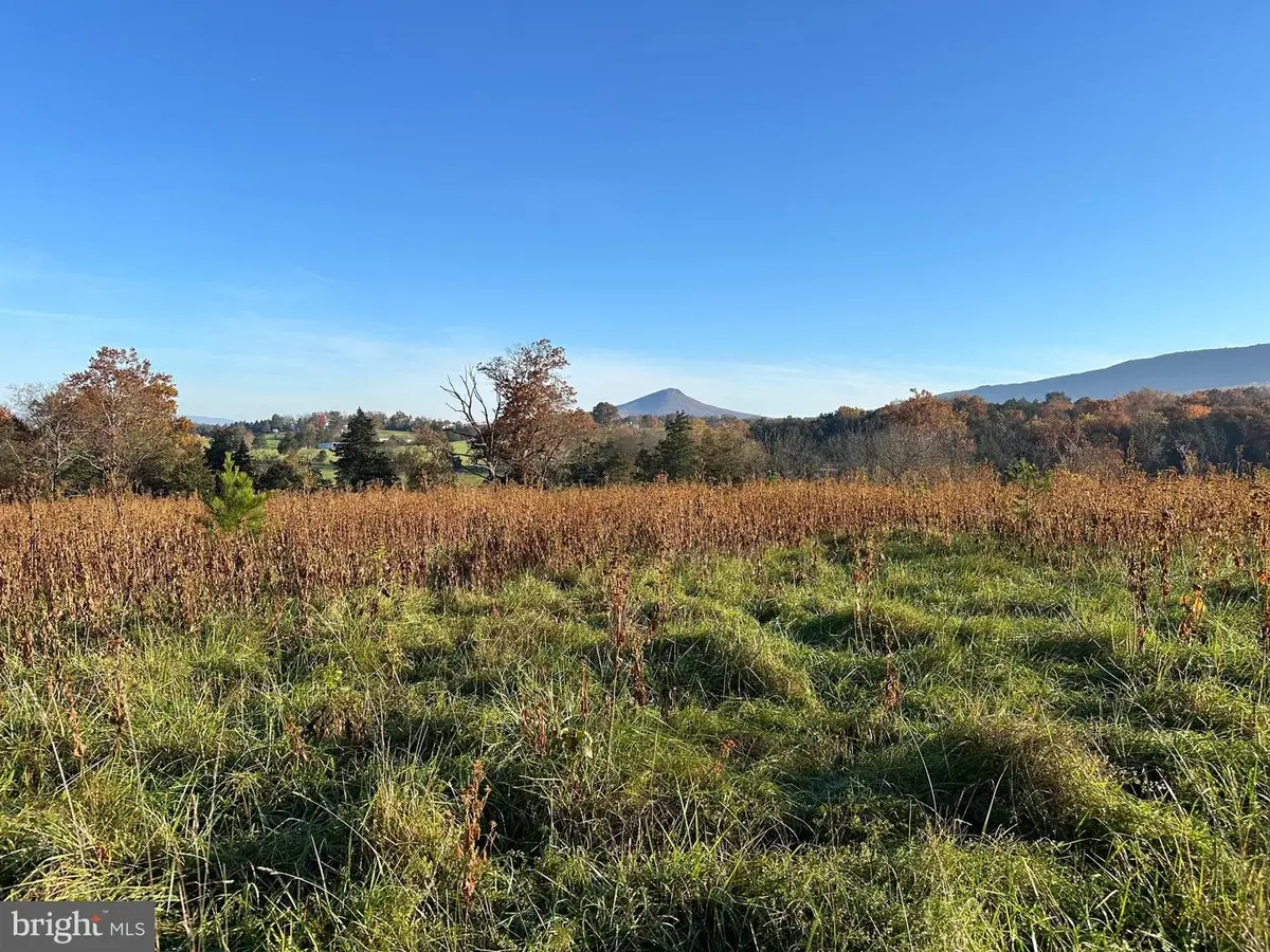 Smith Creek Rd, New Market, VA 22844 - #1