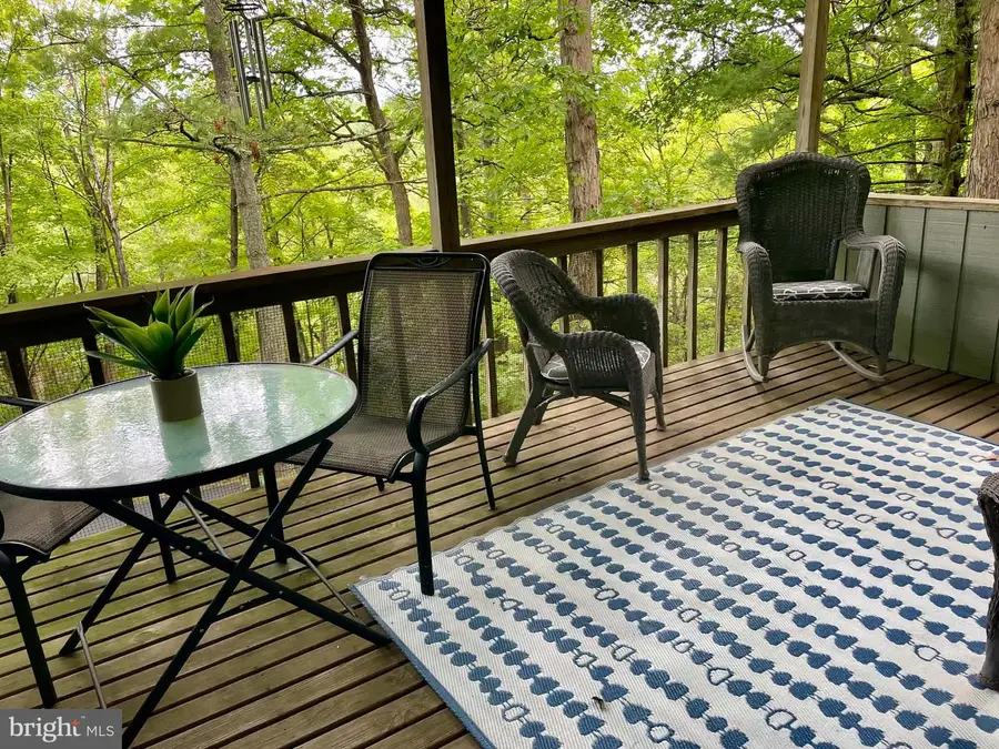 361 The Hill, Basye, VA 22810 - #3