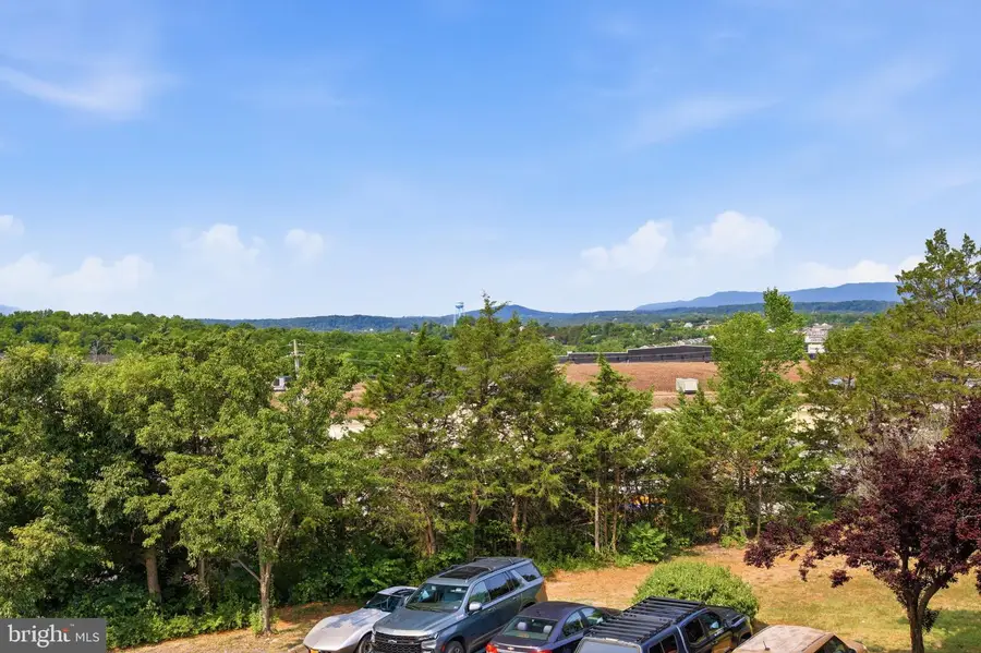 245-k9 Brandy Ct, Strasburg, VA 22657 - #3