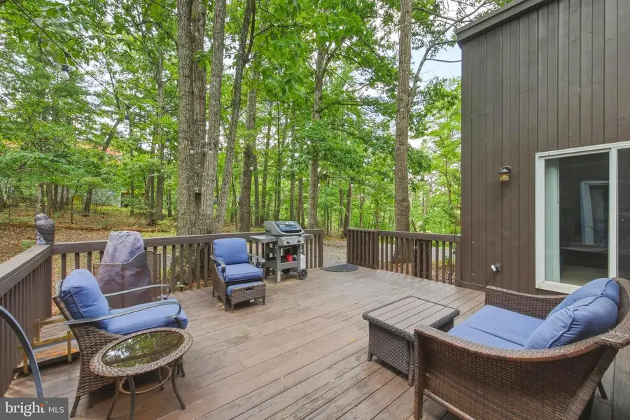 203 Brenda Ln, Basye, VA 22810 - #2