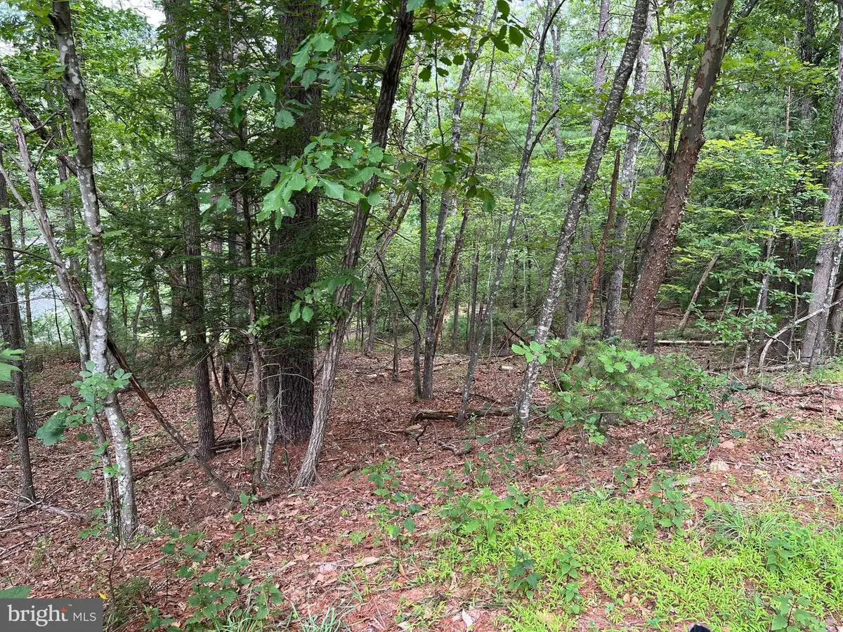 0 Fawn Dr, Basye, VA 22810 - #1