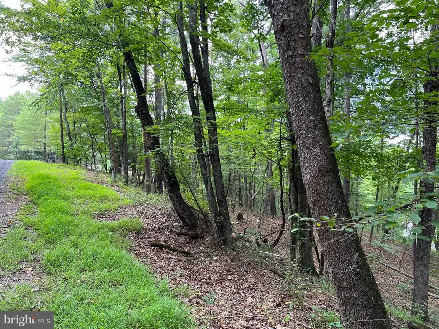 0 Fawn Dr, Basye, VA 22810 - #2