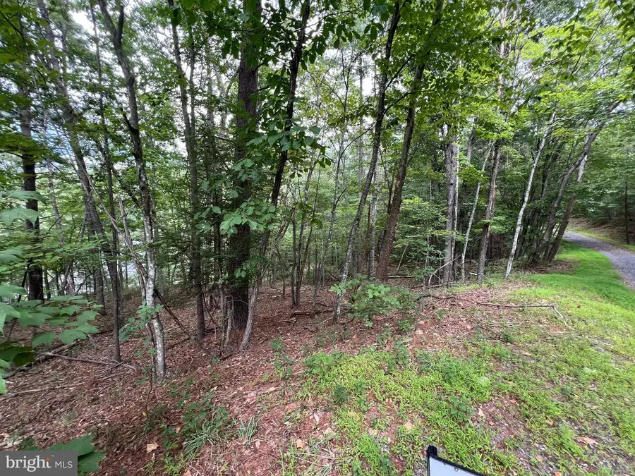 0 Fawn Dr, Basye, VA 22810 - #3