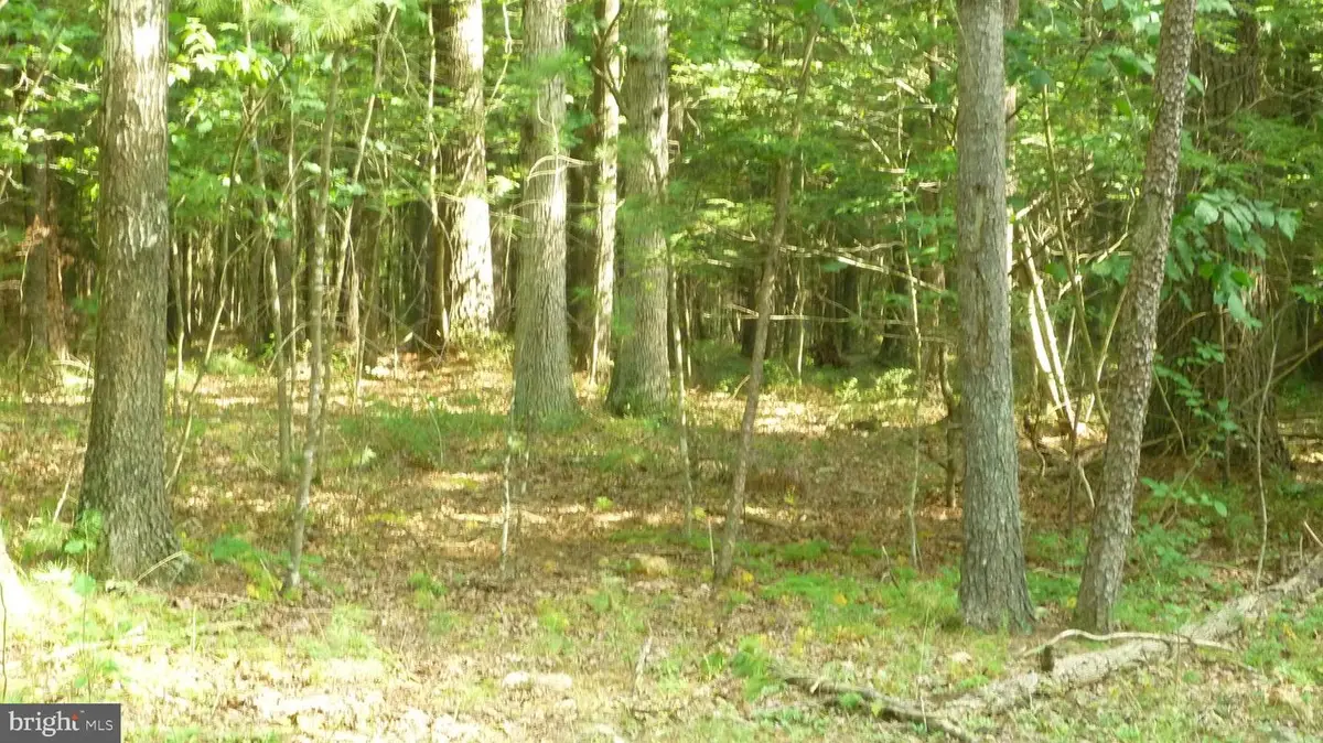 Alum Springs Rd., Edinburg, VA 22824 - #1
