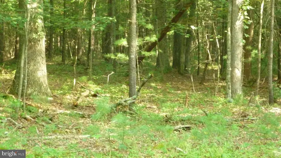 Alum Springs Rd., Edinburg, VA 22824 - #2