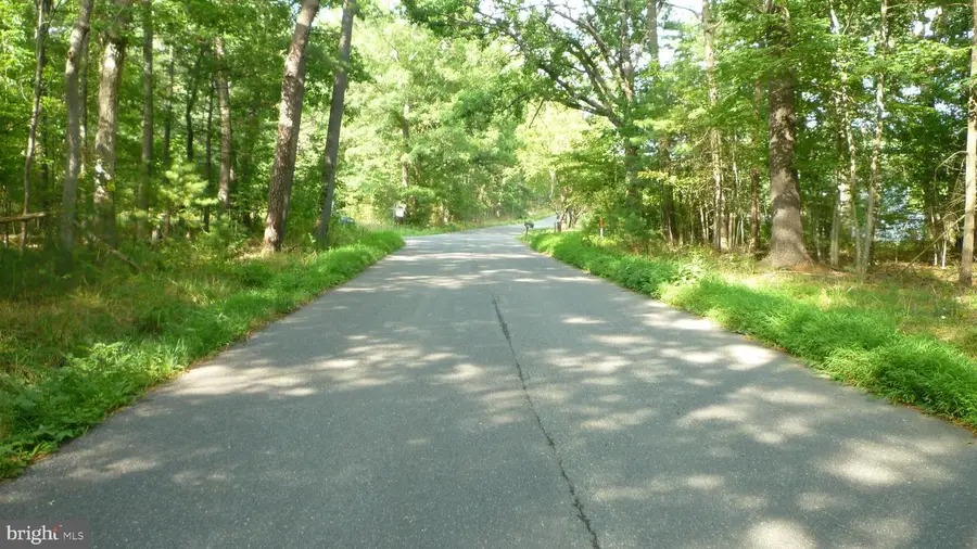 Alum Springs Rd., Edinburg, VA 22824 - #3