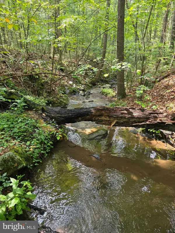 574 Mountain Slope Ln., FORT VALLEY, VA 22652