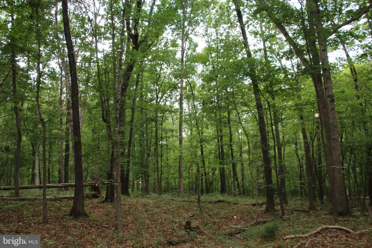 Habron Hollow Rd, Fort Valley, VA 22652 - #1