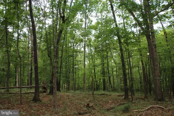 Habron Hollow Rd, FORT VALLEY, VA 22652