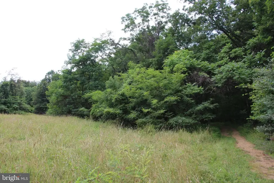 Habron Hollow Rd, Fort Valley, VA 22652 - #2