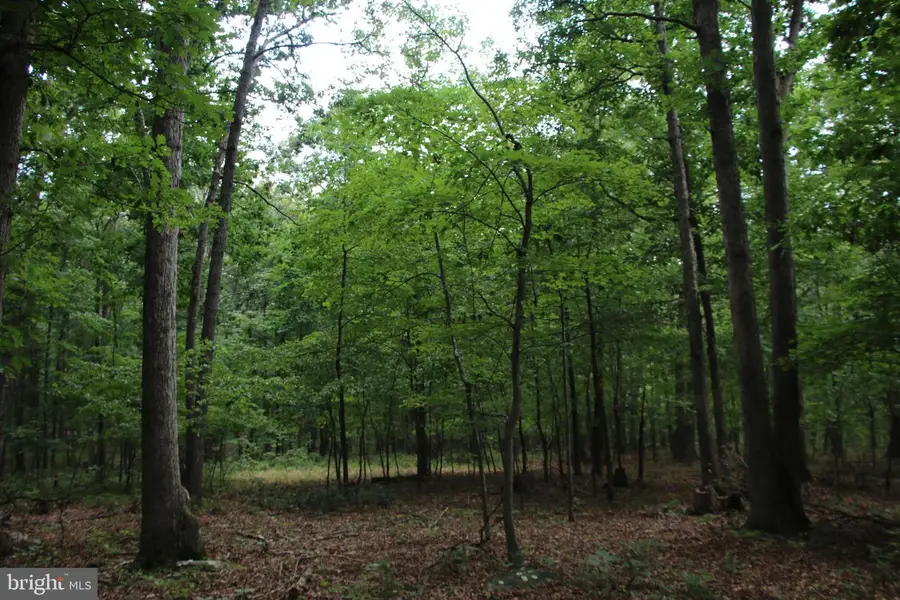 Habron Hollow Rd, Fort Valley, VA 22652 - #3