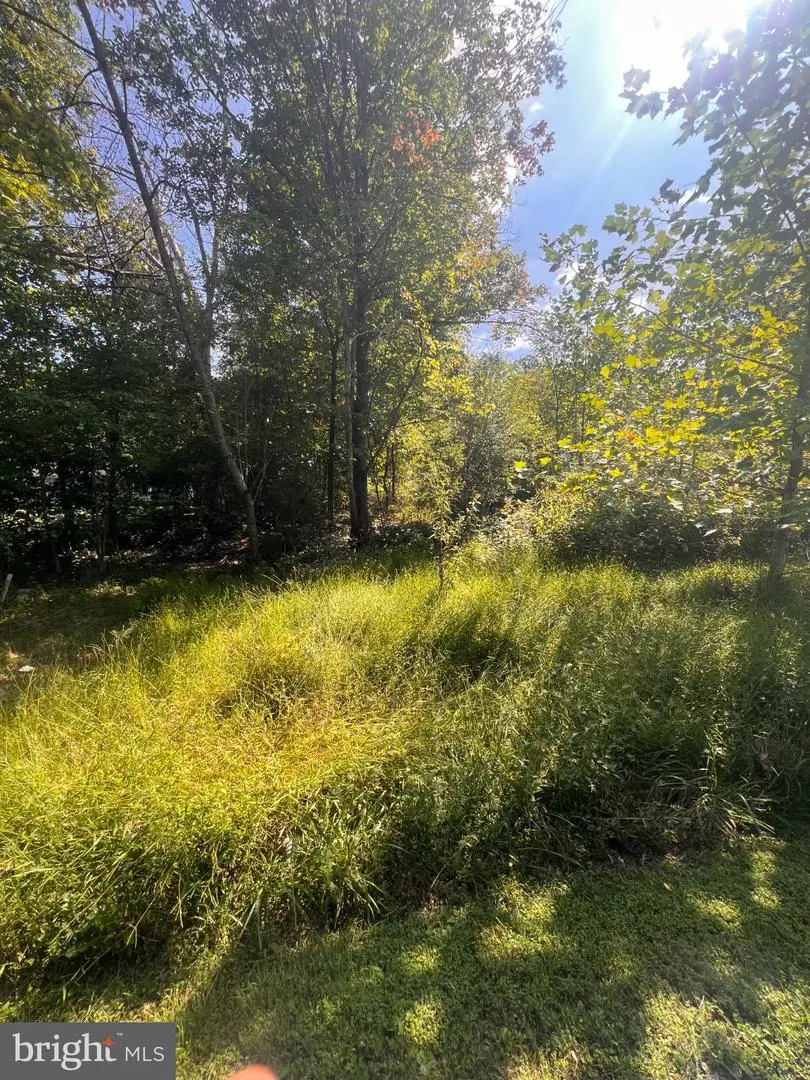 Lot 28 Cedar Ln, Woodstock, VA 22664 - #3