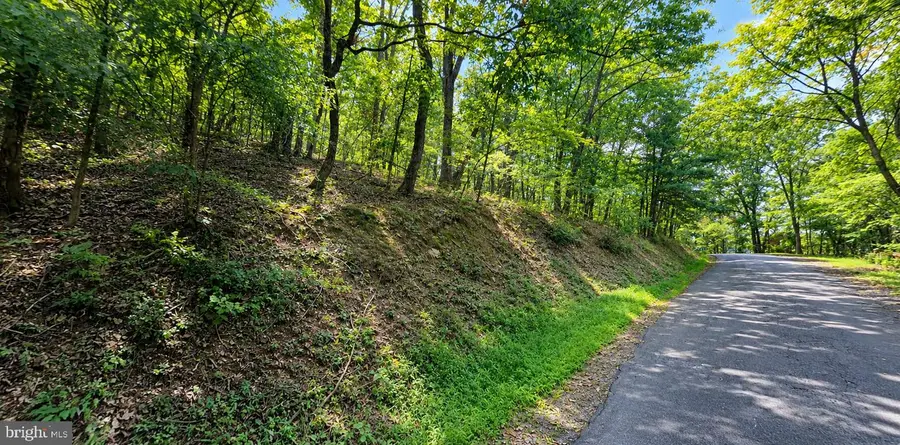 Lot 11 Fairway Dr, Basye, VA 22810 - #3
