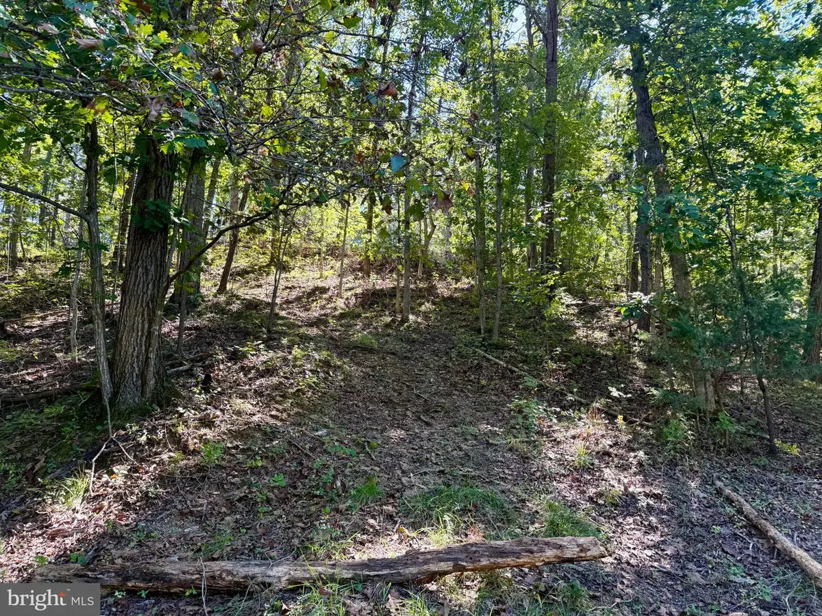 Lot 147c Tea Berry Rd, Maurertown, VA 22644 - #1