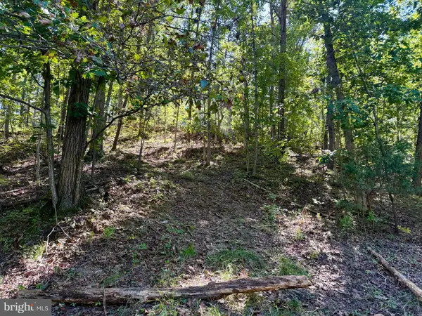 Lot 147c Tea Berry Rd, MAURERTOWN, VA 22644