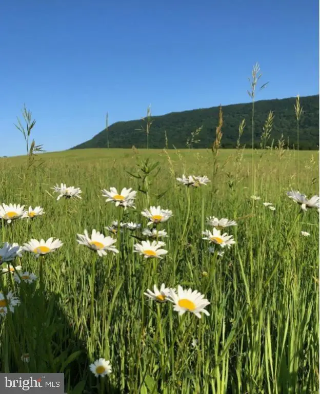 Lot 8 Sandy Hook Farm ., Strasburg, VA 22657 - #2